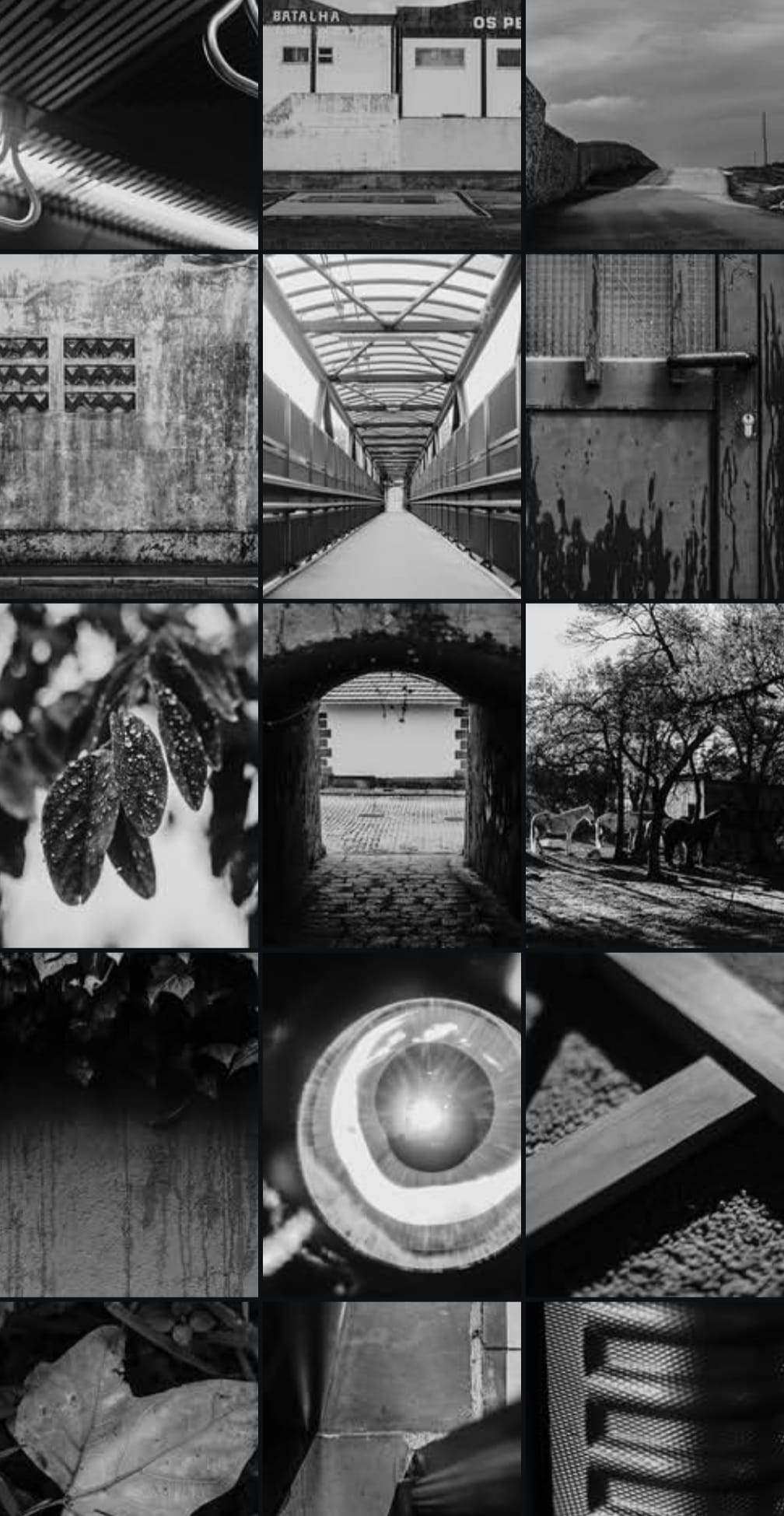 Proyecto 365 Desgrano.